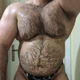 therealturkishbear